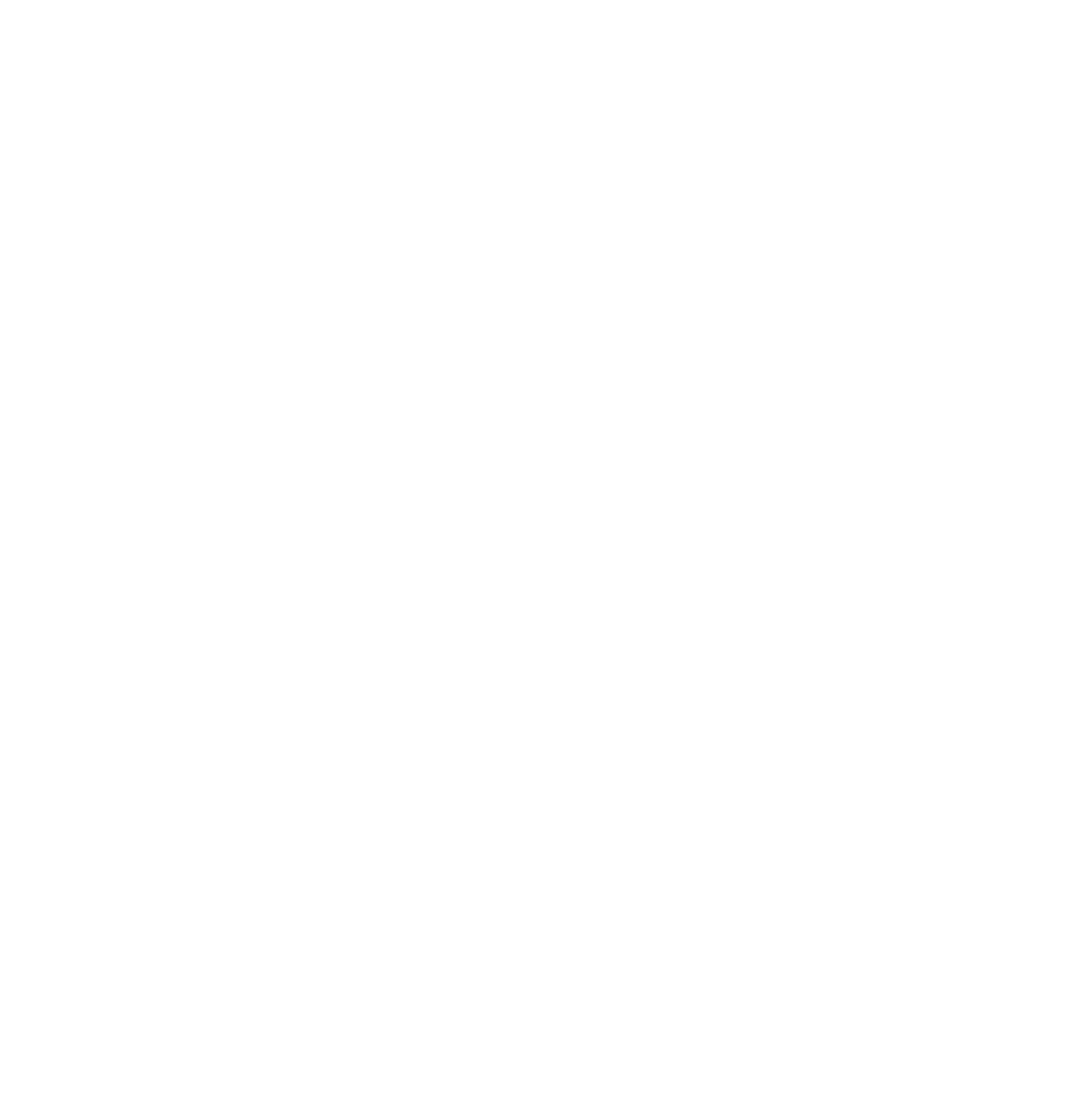 Plincs Logo weiß