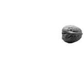 PSI